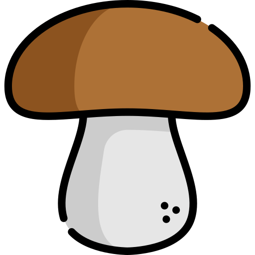 Грибы